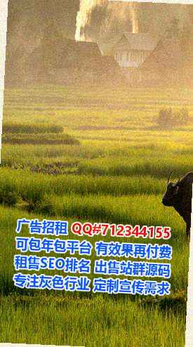 柳南代妈营销策划事务所